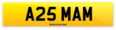 A25 MAM