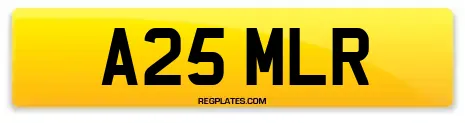 A25 MLR