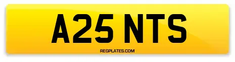 A25 NTS