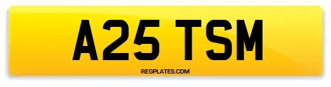 A25 TSM