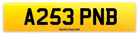 A253 PNB