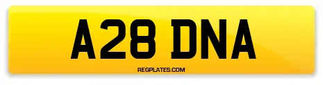 A28 DNA