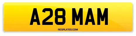 A28 MAM