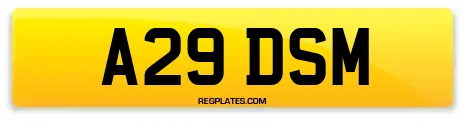 A29 DSM