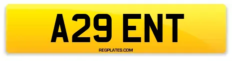 A29 ENT