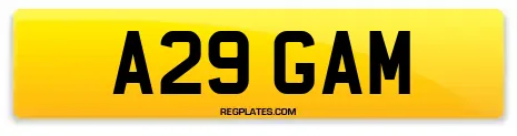 A29 GAM