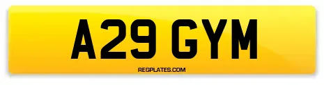 A29 GYM
