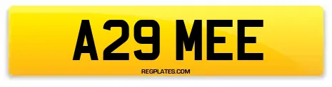 A29 MEE