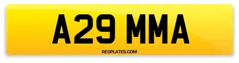 A29 MMA