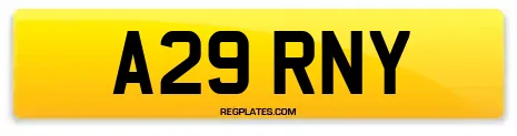 A29 RNY