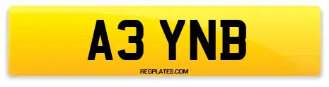 A3 YNB