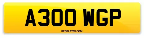 A300 WGP