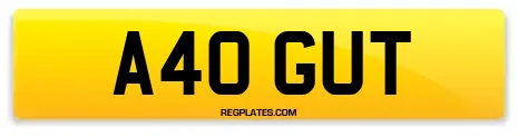 A40 GUT