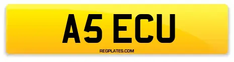 A5 ECU