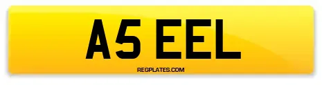 A5 EEL