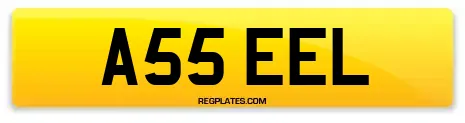 A55 EEL