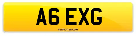 A6 EXG