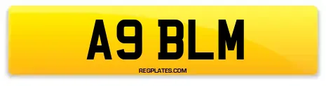 A9 BLM