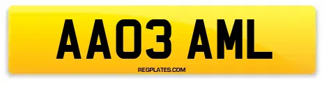 AA03 AML