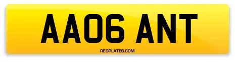 AA06 ANT