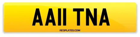 AA11 TNA
