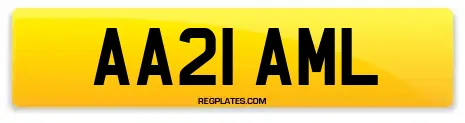 AA21 AML