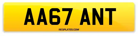 AA67 ANT