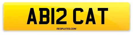 AB12 CAT