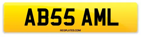 AB55 AML