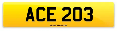 ACE 203