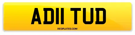 AD11 TUD