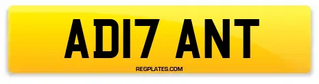AD17 ANT