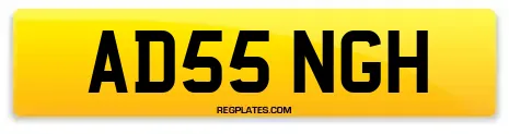 AD55 NGH
