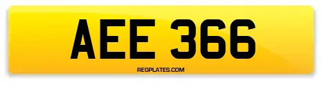 AEE 366