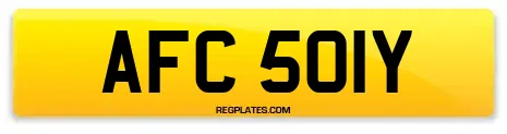AFC 501Y