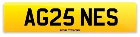 AG25 NES