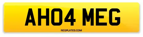 AH04 MEG