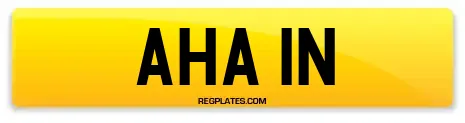 AHA 1N