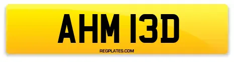 AHM 13D