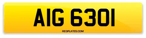AIG 6301