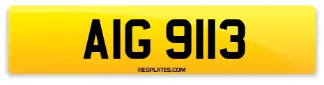 AIG 9113
