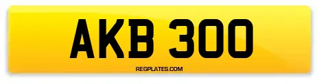 AKB 300