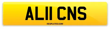 AL11 CNS