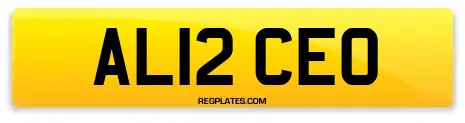 AL12 CEO