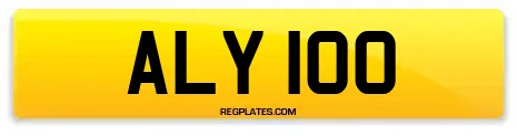 ALY 100
