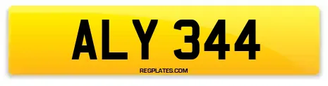 ALY 344