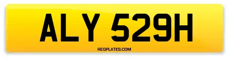 ALY 529H