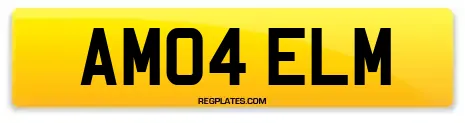 AM04 ELM