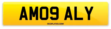 AM09 ALY