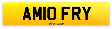 AM10 FRY